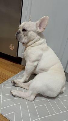 Stone Veterinary Hospital