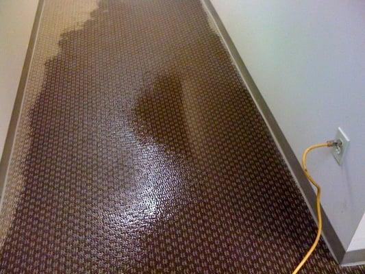 Office Water Damage - Water Removal From Wet Carpet