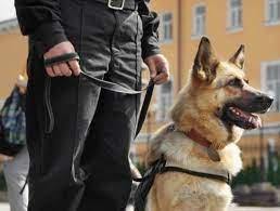 Jaguar Security & Protection