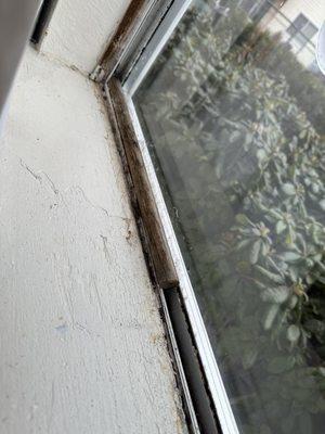 Sunpointe Apartments