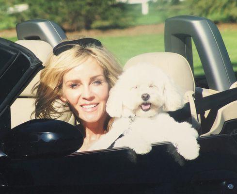 Desperate Fur Babies