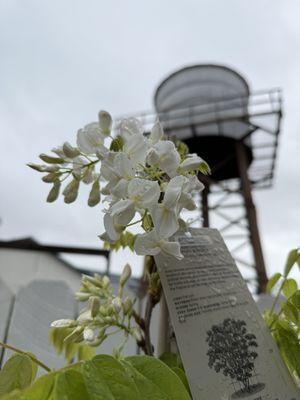 Armstrong Garden Centers