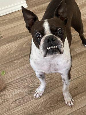 My guy doing great thanks to excellent care