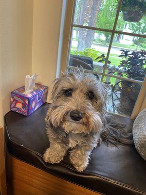 Prairie Animal Hospital