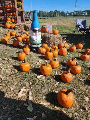 Altamont Fair