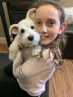 North Pine Pet Grooming