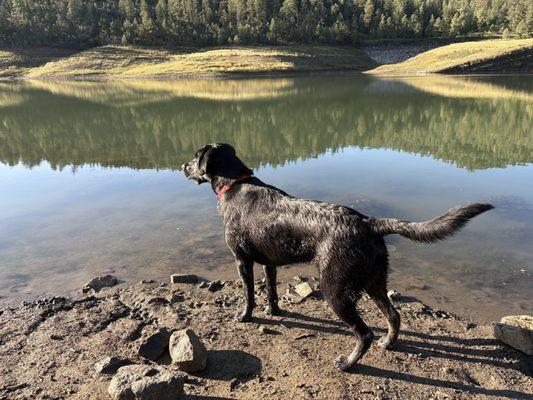 Eastwood Animal Clinic