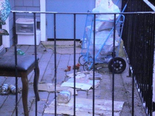 Palm Terrace Apartments