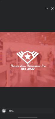 Precise Loss Prevention Inc Security Consulting and Service