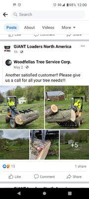 Woodfellas Tree Service