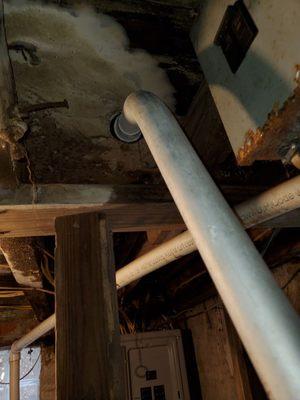 Mold Remediation in Bucks County Pa.