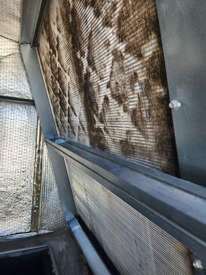 Worry Free HVAC, Plumbing and Electric