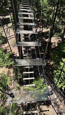 Tahoe Vista Treetop Adventure Park