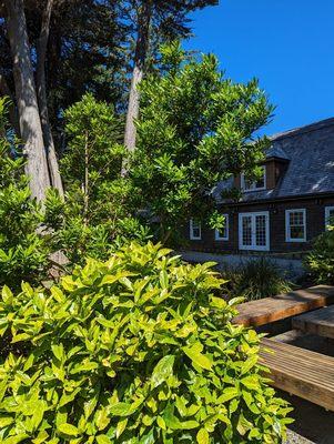 Shore Acres State Park