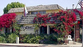 Storm International Florist