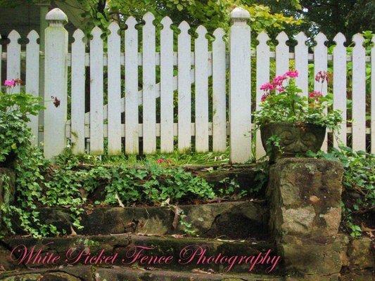 White Picket Fence Photography