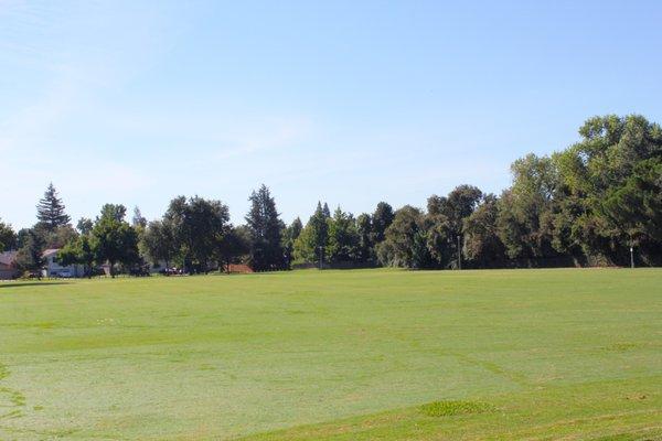 Larchmont Community Park