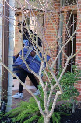 Graceful Moves Moving & Storage