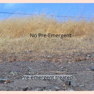 Evergreen Turf And Tree Care