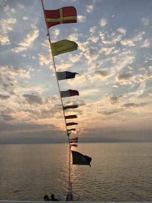 Catalyst Professional Consulting