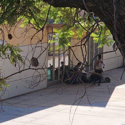 Haven for crackheads. They need to demolition that abandoned recreational center. People hide behind it to do drugs right next to our bldg.