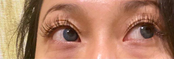 Lash Wellness Lab - Eyelash Extensions