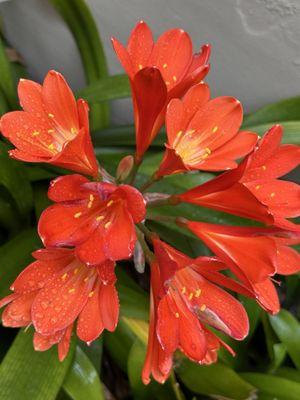 Monterey Peninsula Inn