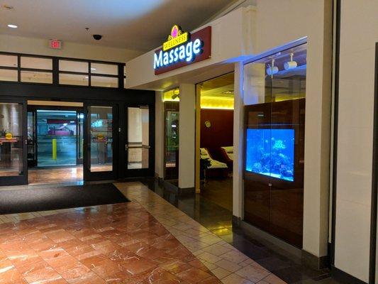 Wellness Massage