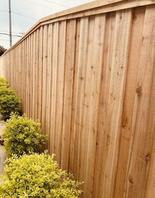 Board on Board Fence