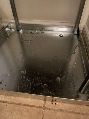 Ice all melted on the furnace filter inside due to no coolant and wanted to put the wet filter back in