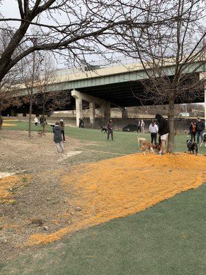 Fido Field