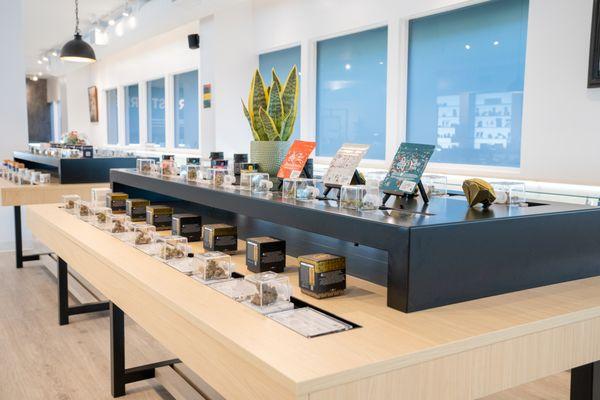 The Artist Tree - Laguna Woods