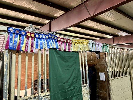 Scenic Hill Equestrian