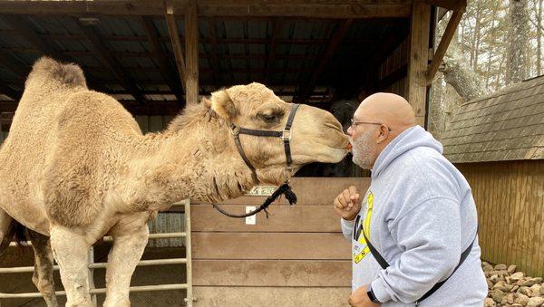 Half Moon Petting Zoo