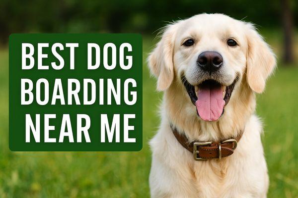 Big N' Small Paws 317