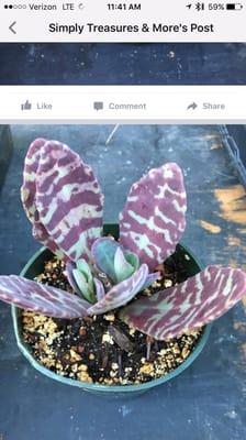 Simply Treasures & More