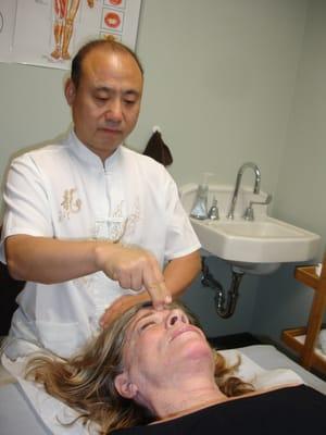 Peaceful Forest Studio