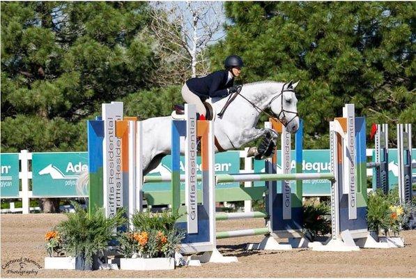 Elterra Equestrian