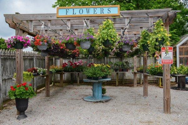 Mustard Seed Trading Company