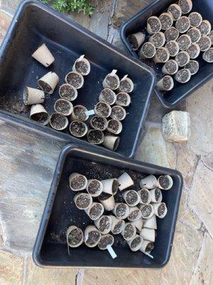 Trinity River Lawn Care & Landscaping