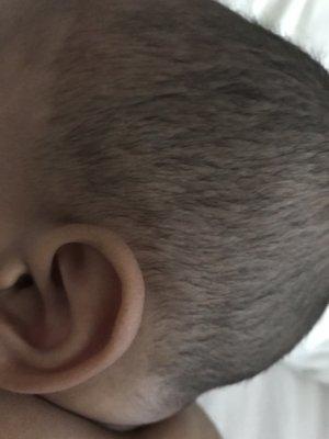 Horrible "hair cut" by Larry. Ritcher Scale by Larry