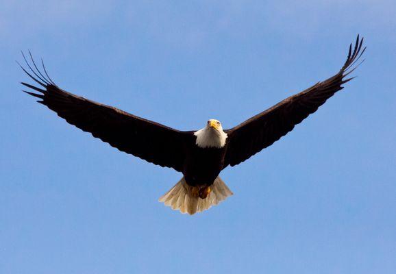 Emerald Island Adventures