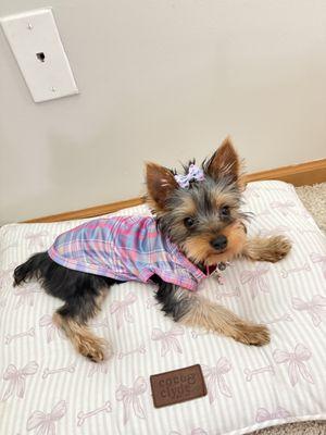 Most recent picture!