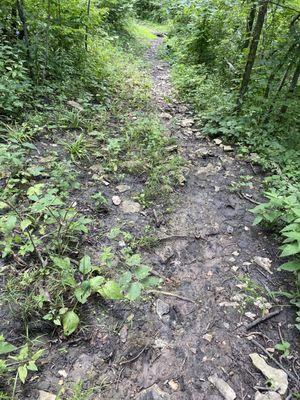 City of Lawrence Nature Park