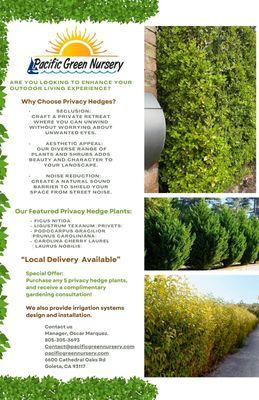 Pacific Green Nursery