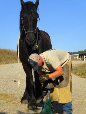 California Natural Hoof Care