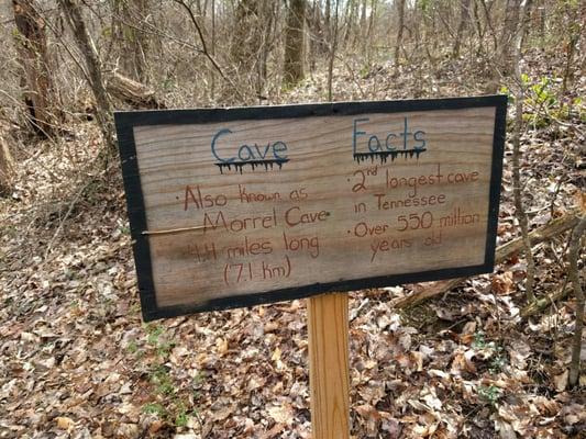 River & Earth Adventures