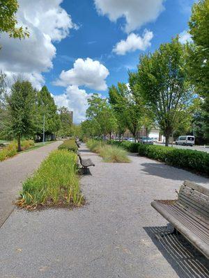 Strolling Garden