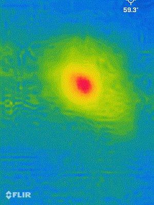 Upton Family Leak Detection