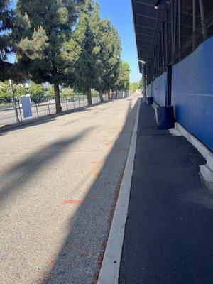 Birmingham Community Charter High School